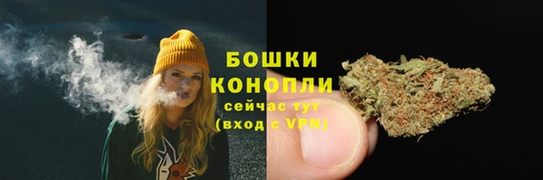ПСИЛОЦИБИНОВЫЕ ГРИБЫ Балабаново
