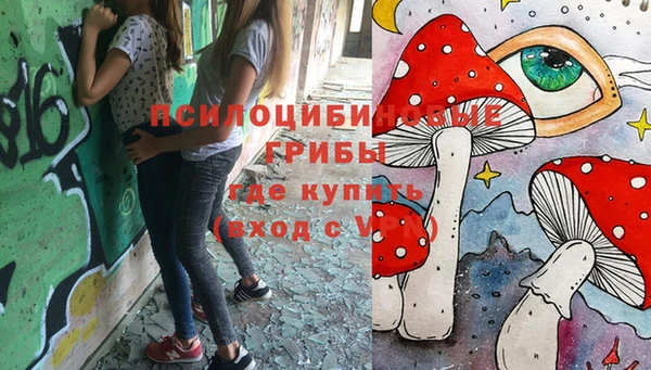 ПСИЛОЦИБИНОВЫЕ ГРИБЫ Балабаново