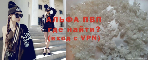 ПСИЛОЦИБИНОВЫЕ ГРИБЫ Балабаново